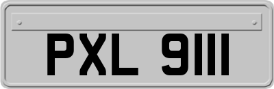 PXL9111