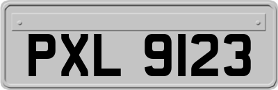 PXL9123