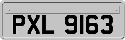 PXL9163