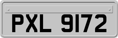 PXL9172