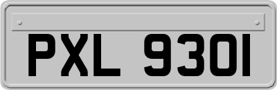 PXL9301