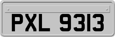 PXL9313