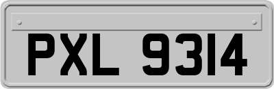 PXL9314