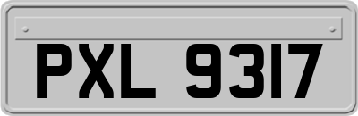 PXL9317