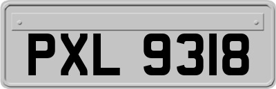 PXL9318