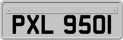 PXL9501