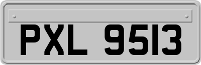 PXL9513