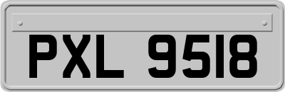 PXL9518