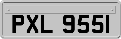 PXL9551