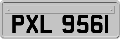 PXL9561