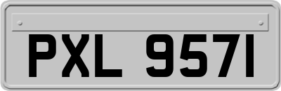 PXL9571