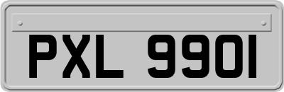 PXL9901