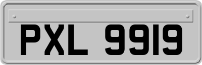 PXL9919