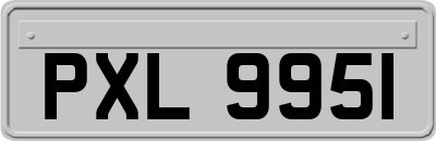 PXL9951