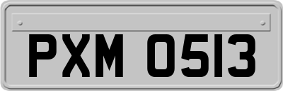 PXM0513