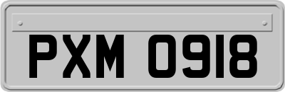 PXM0918