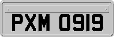 PXM0919