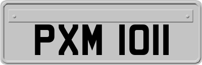 PXM1011