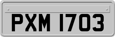 PXM1703