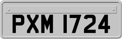 PXM1724