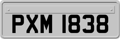 PXM1838