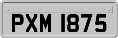 PXM1875