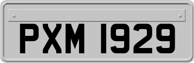 PXM1929