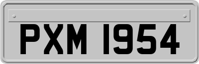 PXM1954