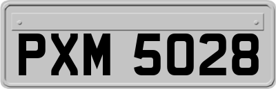 PXM5028