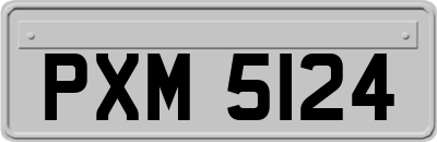 PXM5124