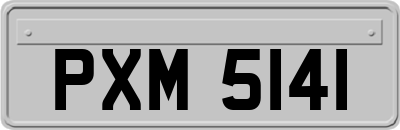 PXM5141