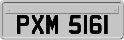 PXM5161