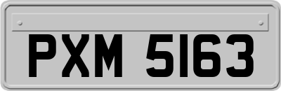 PXM5163