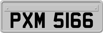 PXM5166