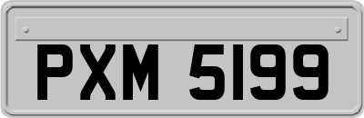 PXM5199