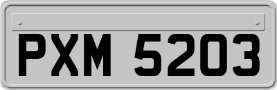 PXM5203