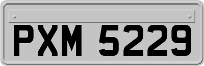 PXM5229