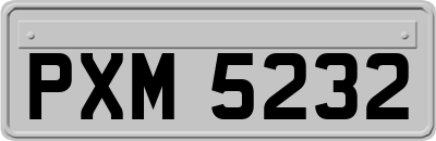 PXM5232