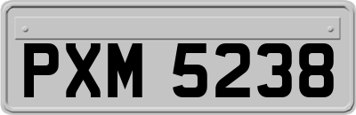 PXM5238