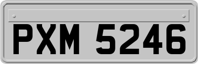 PXM5246