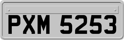 PXM5253