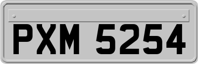 PXM5254