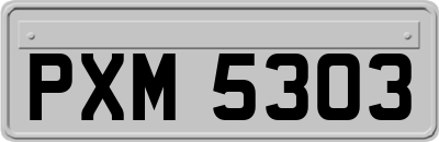 PXM5303