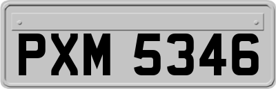 PXM5346