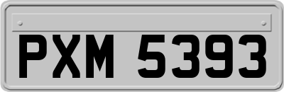 PXM5393