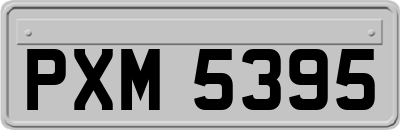 PXM5395