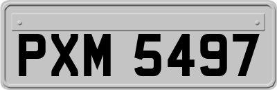 PXM5497