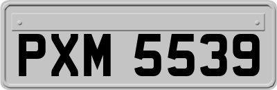 PXM5539