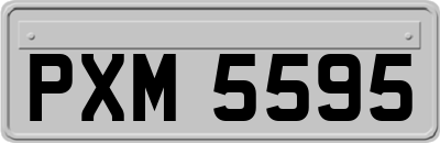 PXM5595