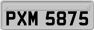 PXM5875